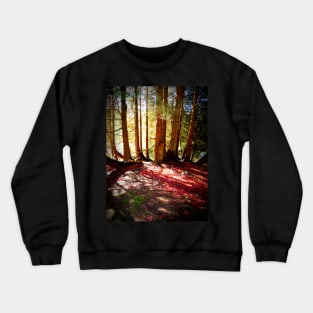 Forest Beams, Stourhead Landscape Gardens, UK Crewneck Sweatshirt